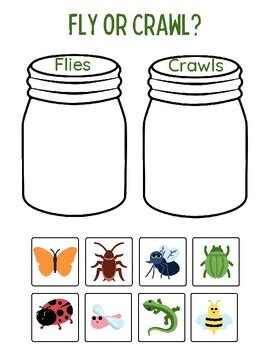 Image result for Insect Sorting