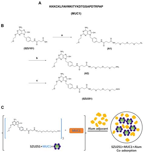 Breast Cancer Vaccine Containing a Novel Toll-like Receptor 7 Agonist ...