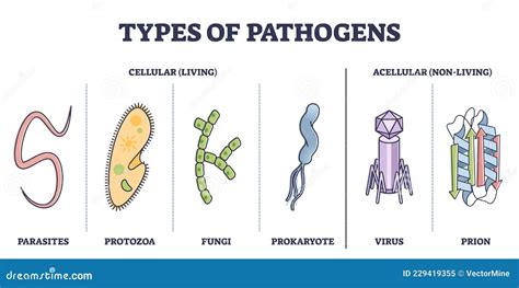 Image result for Different Types of Pathogens