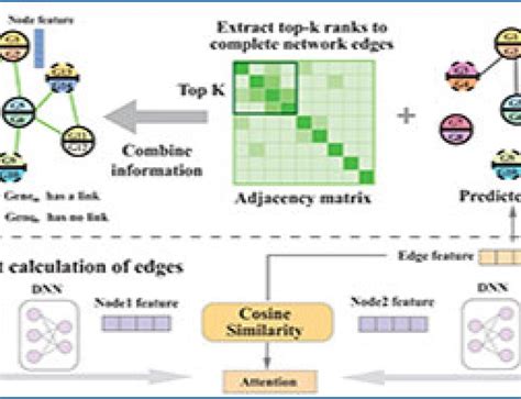 Single-cell RNA-seq 的图像结果