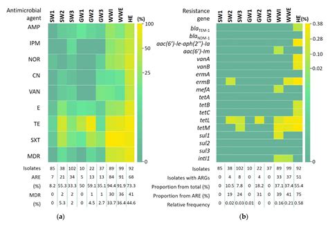 Molecular Typing Reveals Environmental Dispersion of Antibiotic ...