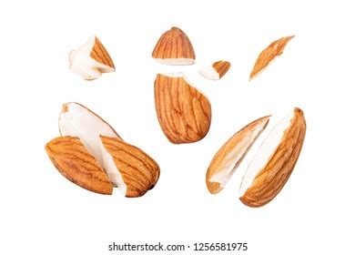 Nuts Explode 的图像结果