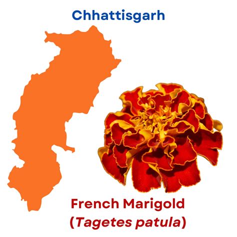 ICAR-Directorate of Floricultural Research