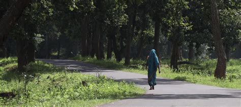 Erased from the Map: The Story of a Village in Hasdeo - The Wire