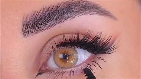Image result for Fox Eye Tutorial