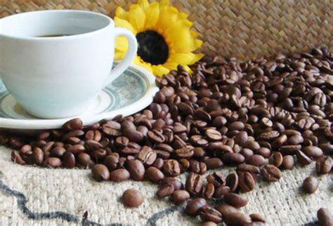 世界十大顶级咖啡豆排行榜 世界最高端的咖啡豆排名_排行榜之家-精选热门产品排行榜