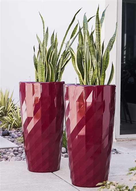 Extra large Indoor Planters for Trees | Foter