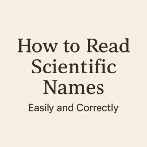 Image result for Scientific Name Example