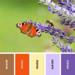 Nature Color 的图像结果