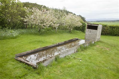 Image result for DIY Reflection Pool