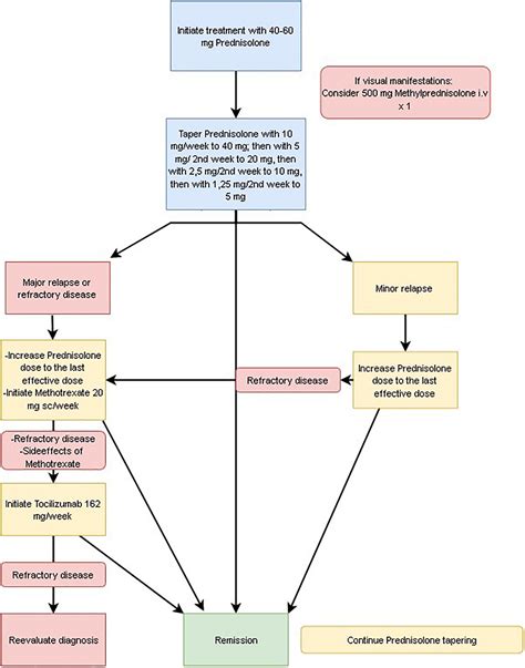 Frontiers | Norwegian society of rheumatology recommendations on diagnosis and treatment of ...