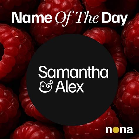 NONA - Elm Grove, Elm Grove - Menu, Reviews (59), Photos (36 ...