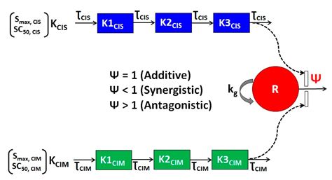 Pharmacodynamic Modeling to Evaluate the Impact of Cimetidine, an OCT2 ...