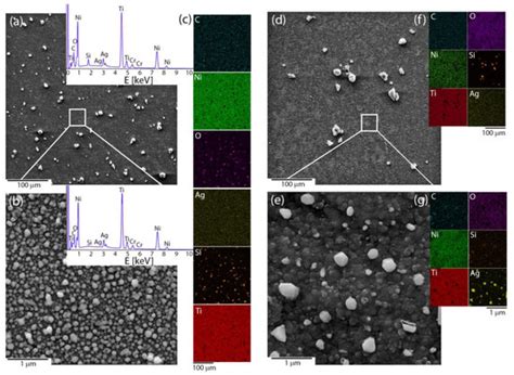 Innovative Bioactive Ag-SiO2/TiO2 Coating on a NiTi Shape Memory Alloy ...