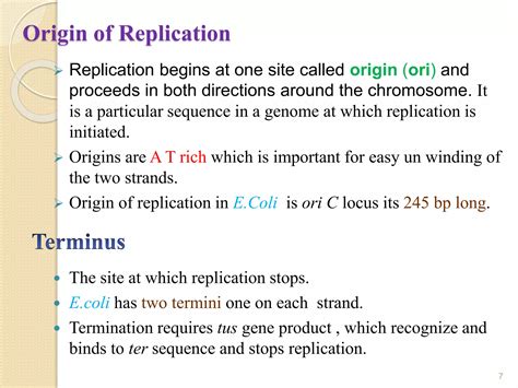 Dna replication in prokaryotes | PPTX