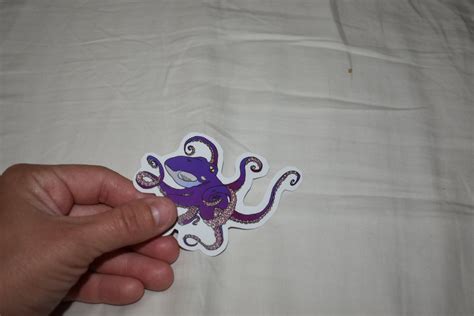 Image result for Stick Octopus