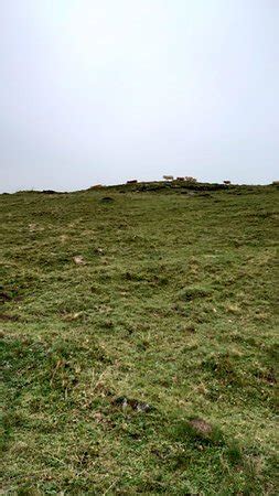 Bussalp (Grindelwald) - 2019 What to Know Before You Go (with Photos ...