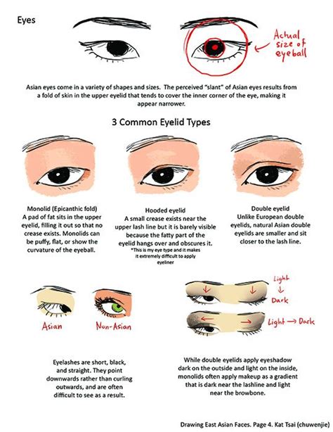 Mastering Asian Facial Features Drawing Guide