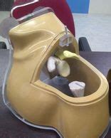 Shoulder-joint models