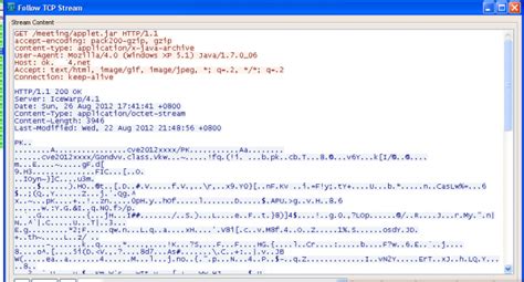 Java Exploit 的图像结果