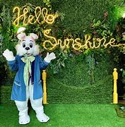 Image result for Mall Easter Bunny Costume