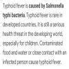 What is typhoid? how is it caused? give some pictures of it - Brainly.in