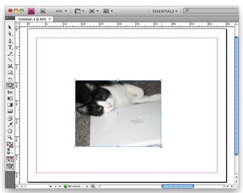 Image result for InDesign Resize Images Controls