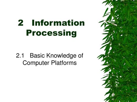 Image result for Information Processing in Computer