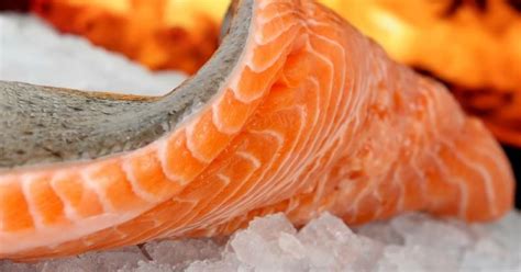 Buy fish, get worm free! Living insect greets US woman inside cod she ...