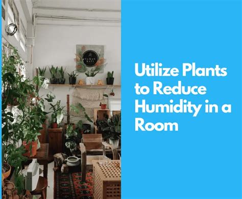 Remove Humidity From Room 的图像结果