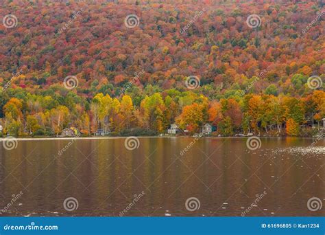 Beautiful Autumn Foliage and Cabins in Elmore State Park, Vermont Stock ...