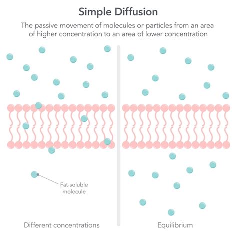 Image result for Simple Diffusion Drawing