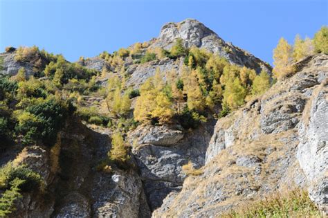Traseul Buşteni - Valea Jepilor – Cabana Caraiman – Babele