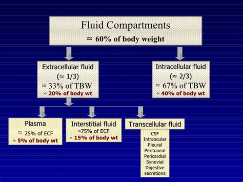 Image result for Classification Body Fluids
