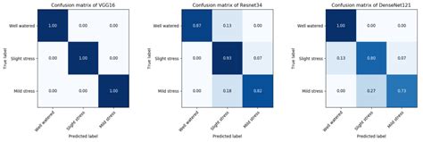 Use of CNN for Water Stress Identification in Rice Fields Using Thermal ...