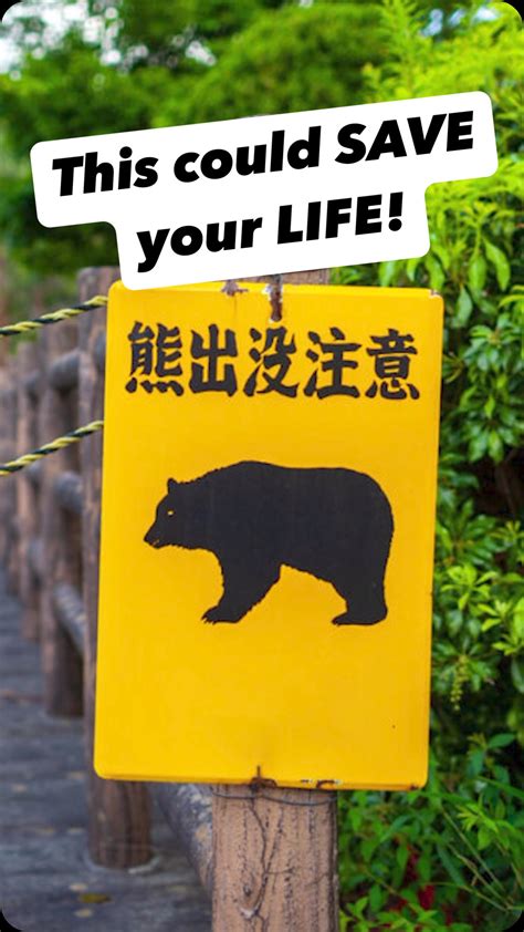 peach (@properpeach.ttv) • Instagram photos and videos