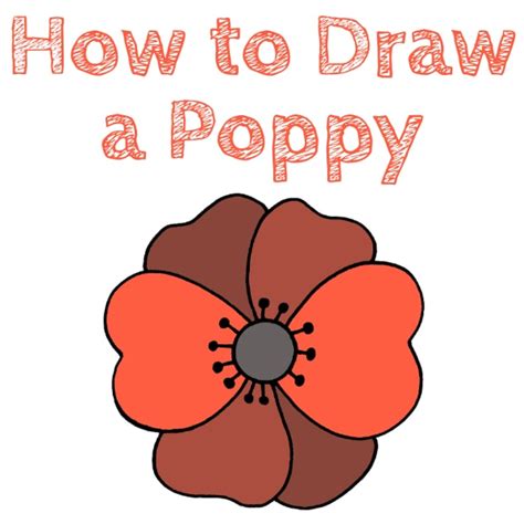 How To Draw A Poppy Flower Easy | Best Flower Site
