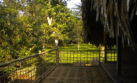Singpho Eco Lodge | Hotel in Margherita | Timbu.in