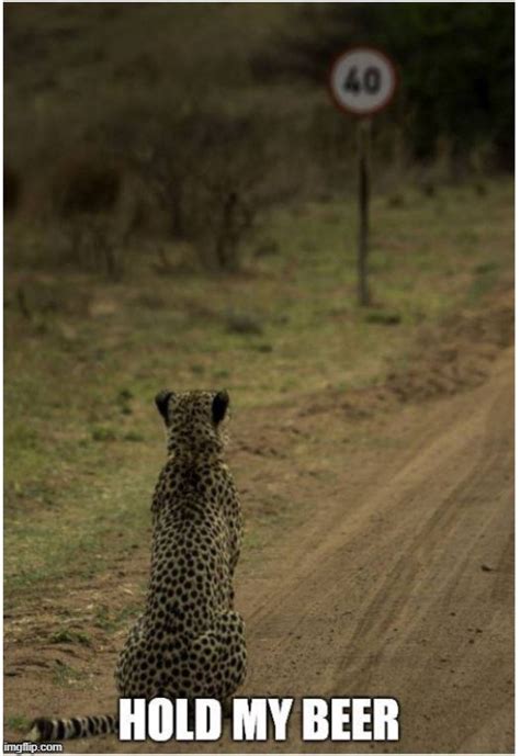 Hold My Beer - Imgflip