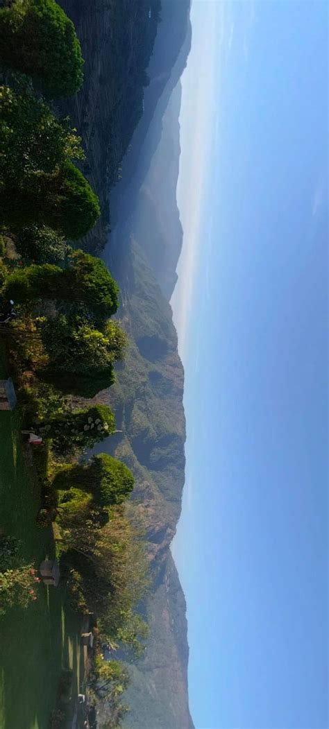 about members | Anandam brahma Yog and life care