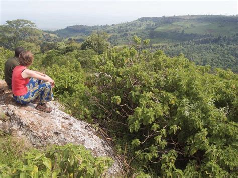 TIBS GORILLA SAFARIS (2026) All You Need to Know BEFORE You Go (with ...