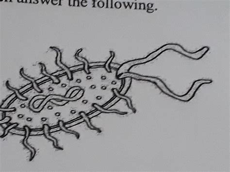 1)Give a suitable title to the given diagram.2)what is the term used ...