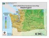 Washington Plant Hardiness Zones Map And Gardening Guide - Gardenia Organic