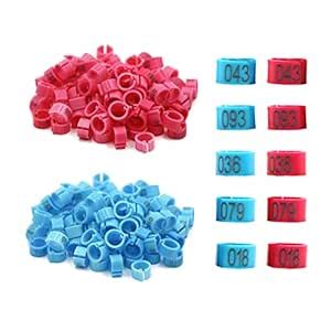CDIYTOOL 200Pcs 8mm Bird Leg Bands Rings Clip On Bird Ankle Tags ...