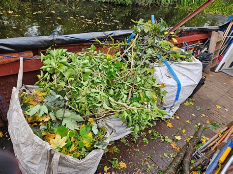 Image result for Python for Grill