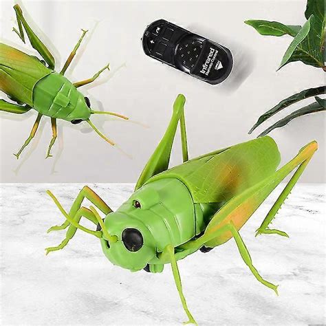 RC Remote Control Animals 的图像结果