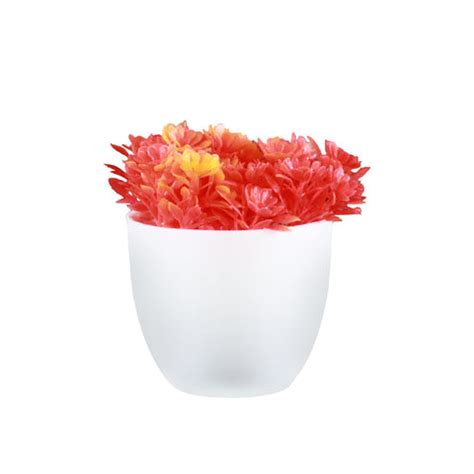 Artificial Plants – TrustBasket