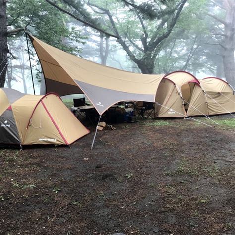 40％割引激安の スノーピーク エントリーパックTT ヘキサL SET-250H タープのみ テント/タープ アウトドア ...