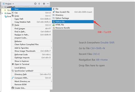 Install Pip From PyCharm 的图像结果