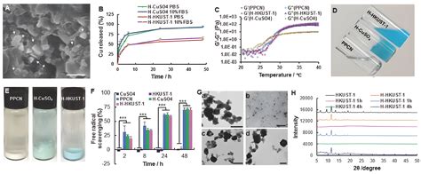 Application of Metal–Organic Framework in Diagnosis and Treatment of ...